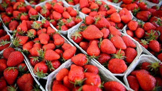 Erbeeren in Schalen Erbeeren in Schalen