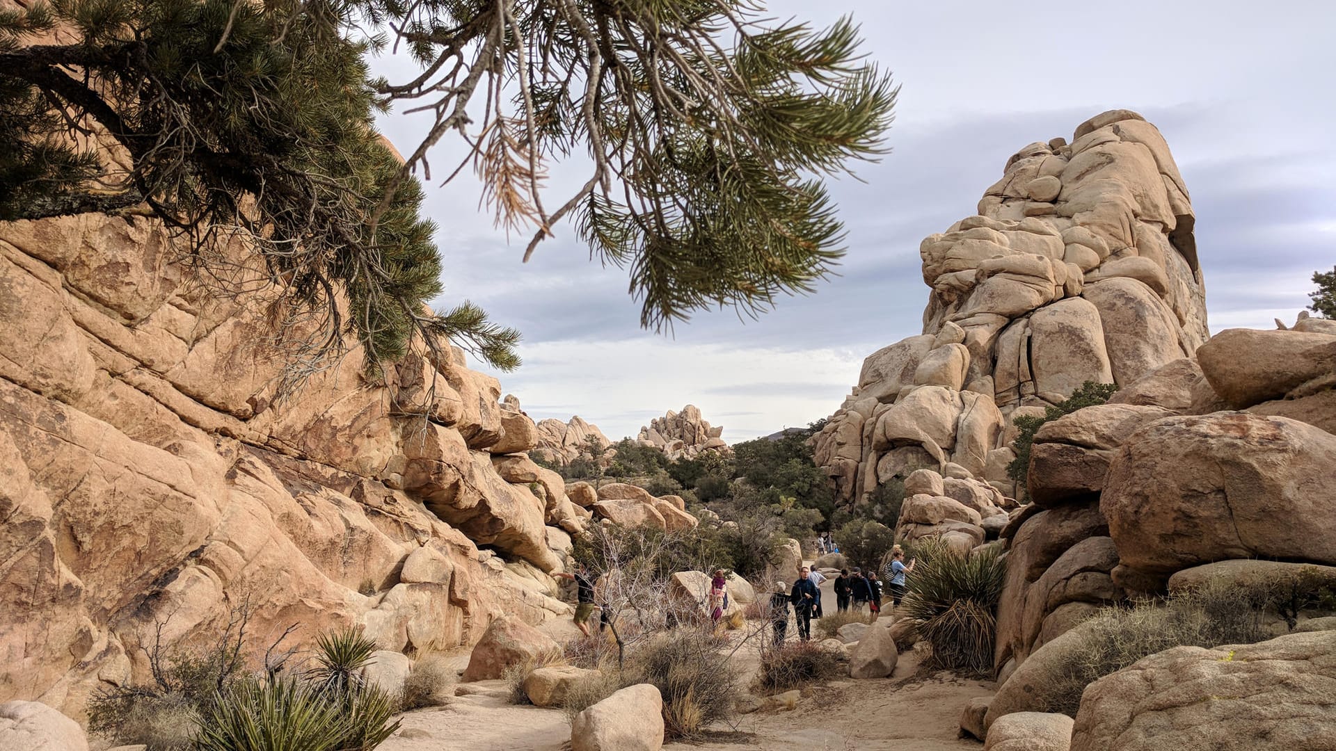 Joshua Tree National Park in Kalifornien: Nationalparks sind bei Urlaubern besonders beliebt.