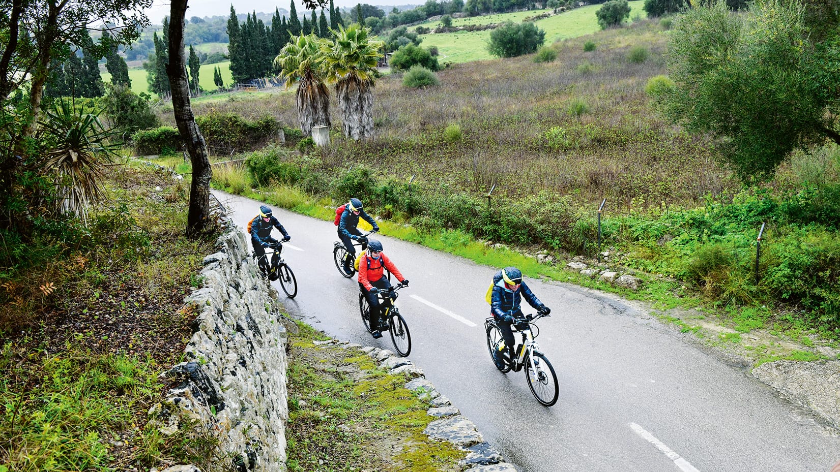 Trekking-E-Bikes: Mit Pedelecs, die extra für solche Touren ausgelegt sind, geht es Berganstiege einfacher hinauf.