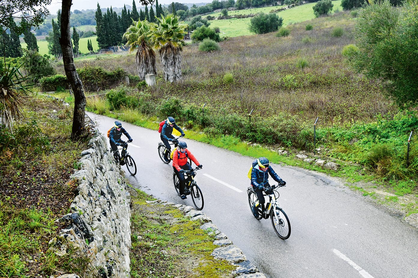 Trekking-E-Bikes: Mit Pedelecs, die extra für solche Touren ausgelegt sind, geht es Berganstiege einfacher hinauf.