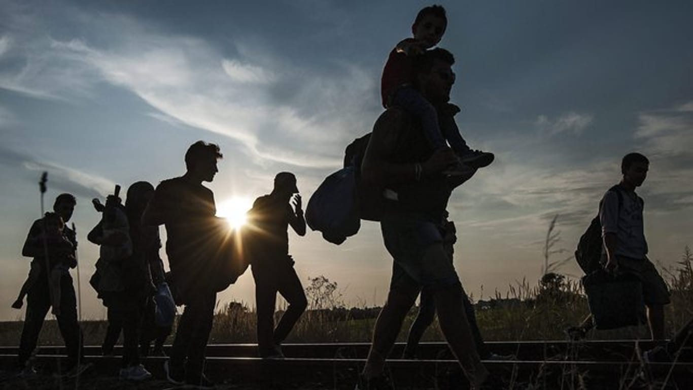 Flüchtlinge im August 2015 an der Grenze zwischen Ungarn und Serbien.