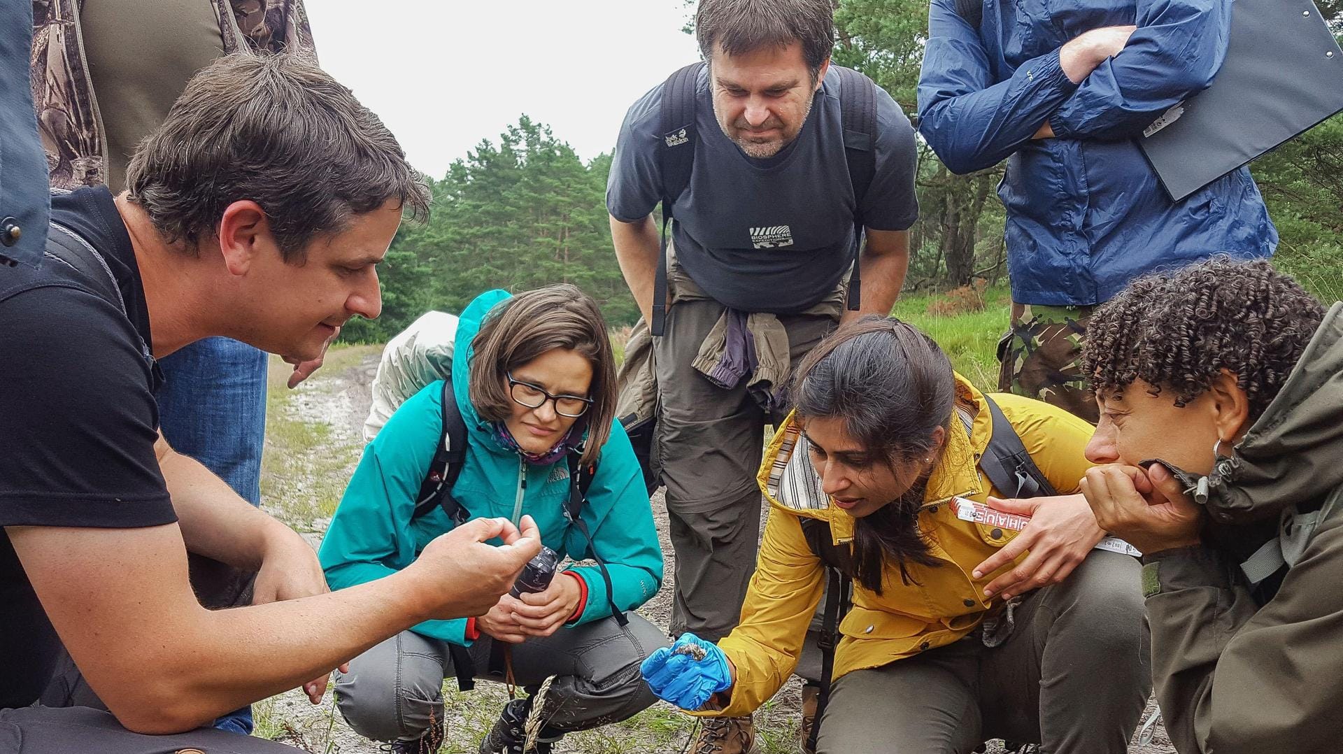 Peter Schütte (li.) vom Wolfcenter Dörverden sammelt mit einem Team Wolfslosung.