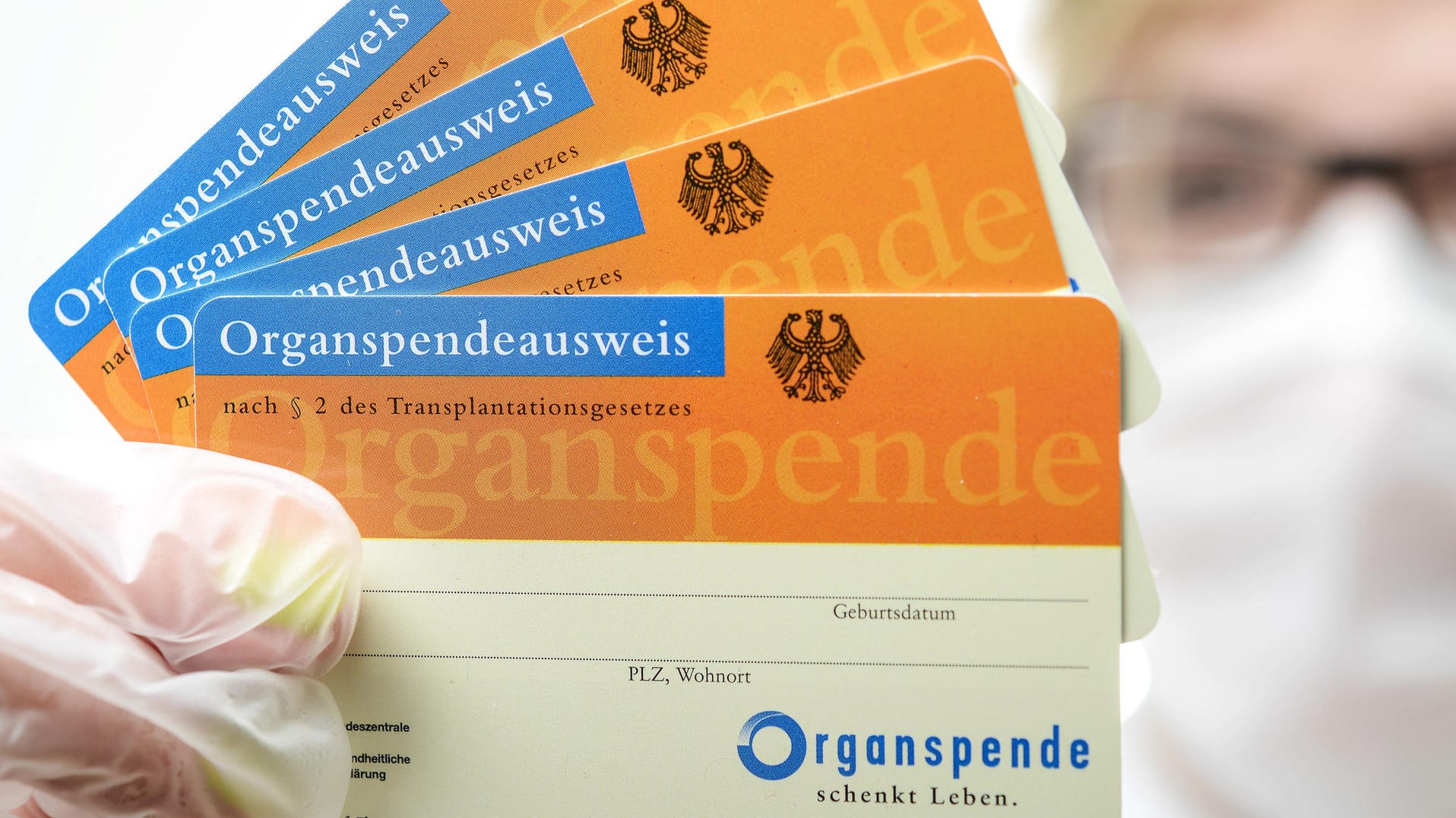 Ein Frau hält Organspendeausweise der Bundeszentrale für gesundheitliche Aufklärung in der Hand: Gesundheitsminister Spahn hat dazu aufgerufen, dass sich mehr Menschen in Deutschland über eine mögliche Organspende klar werden sollten.