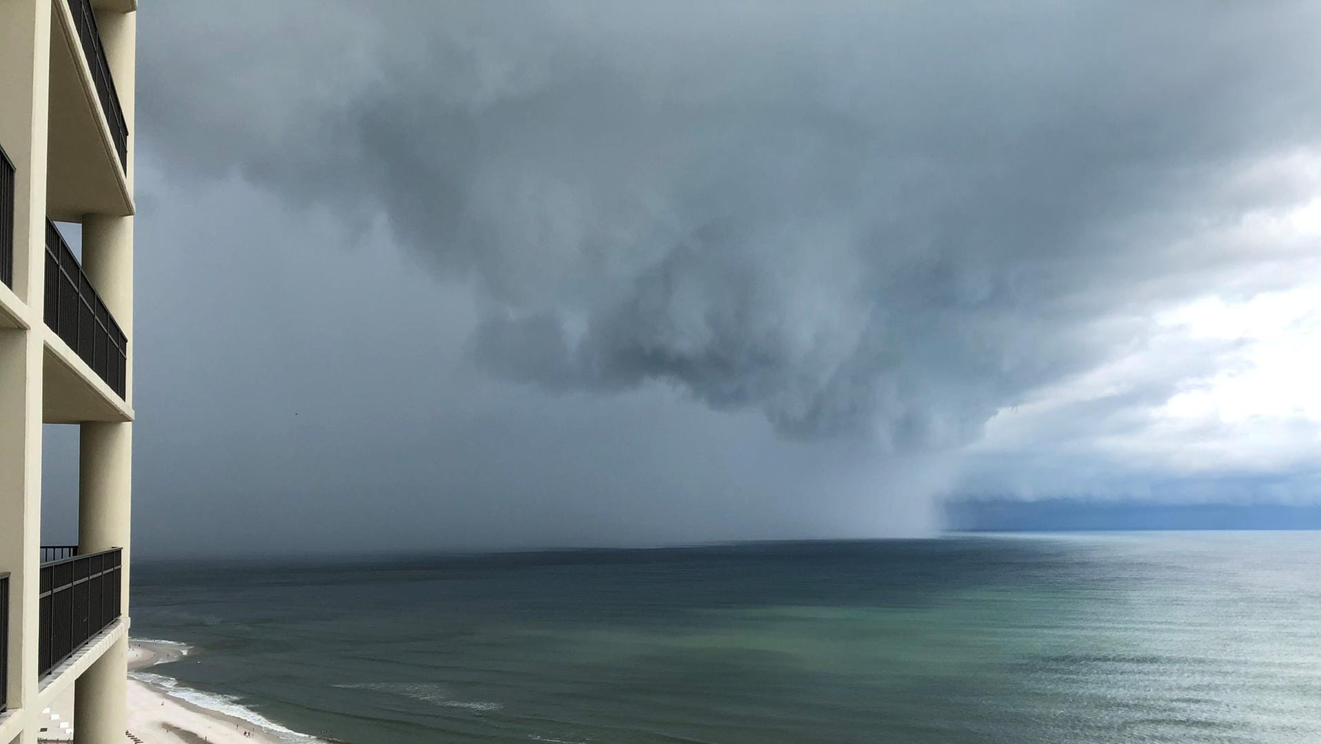 Der subtropische Sturm "Alberto" am Orange Beach in Alabama, USA: Zwei US-Journalisten werden von einem Baum erschlagen. Der subtropische Sturm "Alberto" am Orange Beach in Alabama, USA: Zwei US-Journalisten werden von einem Baum erschlagen.