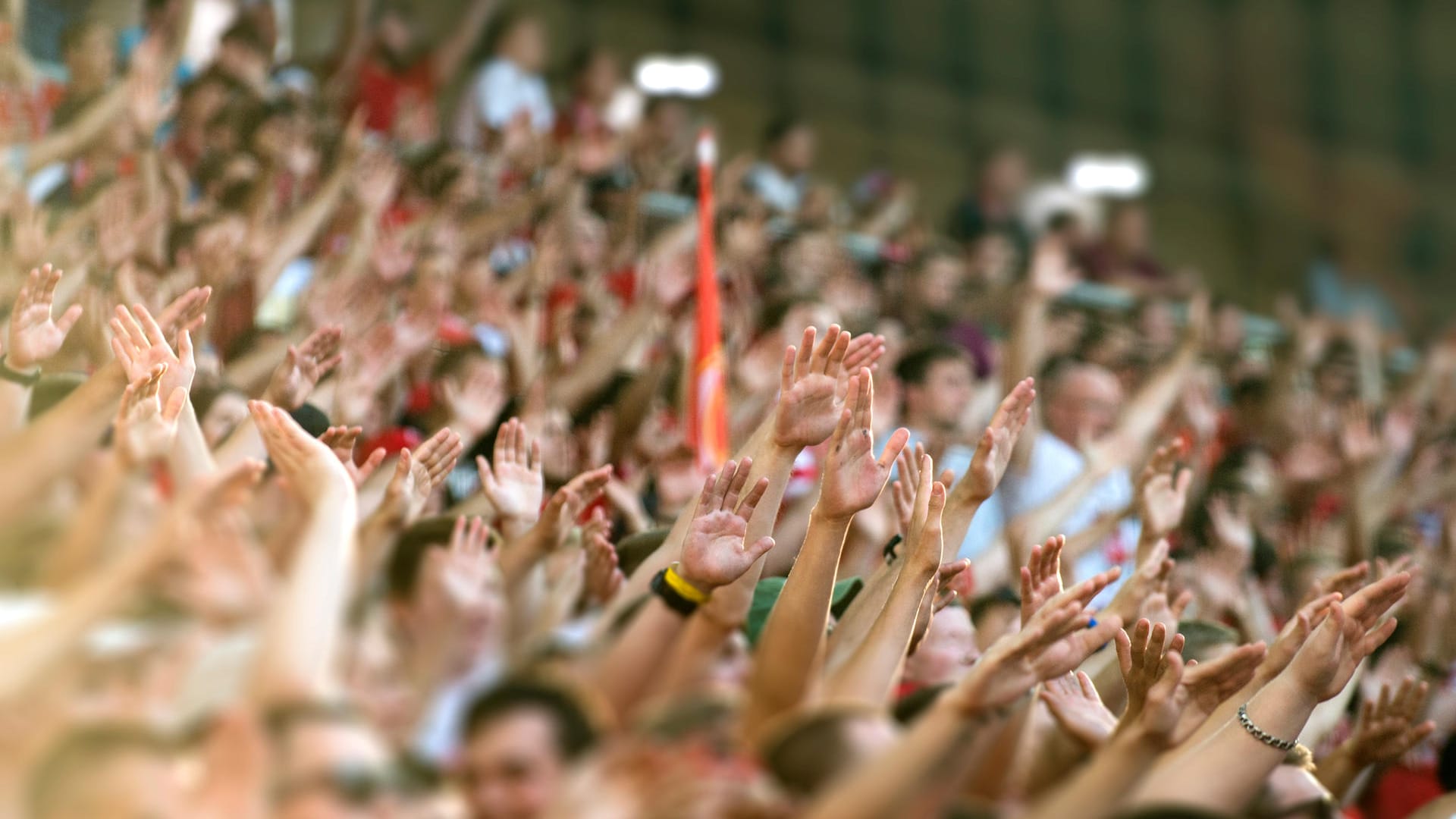 Fußballfans im Stadion