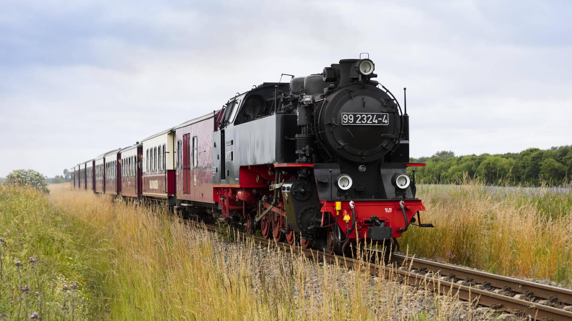 Die historische Schmalspurbahn Molli in Frontalansicht: Die Fahrbegleiterin erlitt bei dem Unfall leichte Verletzungen. (Archivbild)