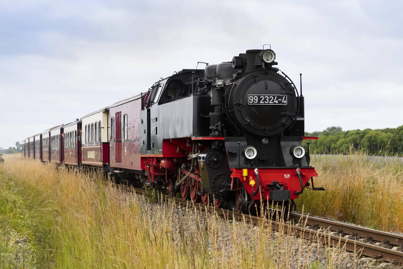 Die historische Schmalspurbahn Molli in Frontalansicht: Die Fahrbegleiterin erlitt bei dem Unfall leichte Verletzungen. (Archivbild)