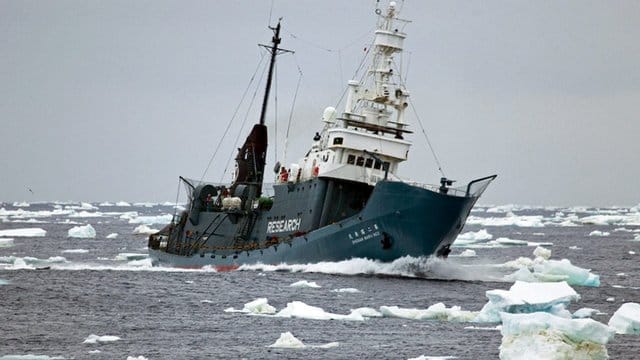 Japanisches Walfangschiff: Seit mehr als 25 Jahren haben Japans Waljäger mehr als 10. Japanisches Walfangschiff: Seit mehr als 25 Jahren haben Japans Waljäger mehr als 10.