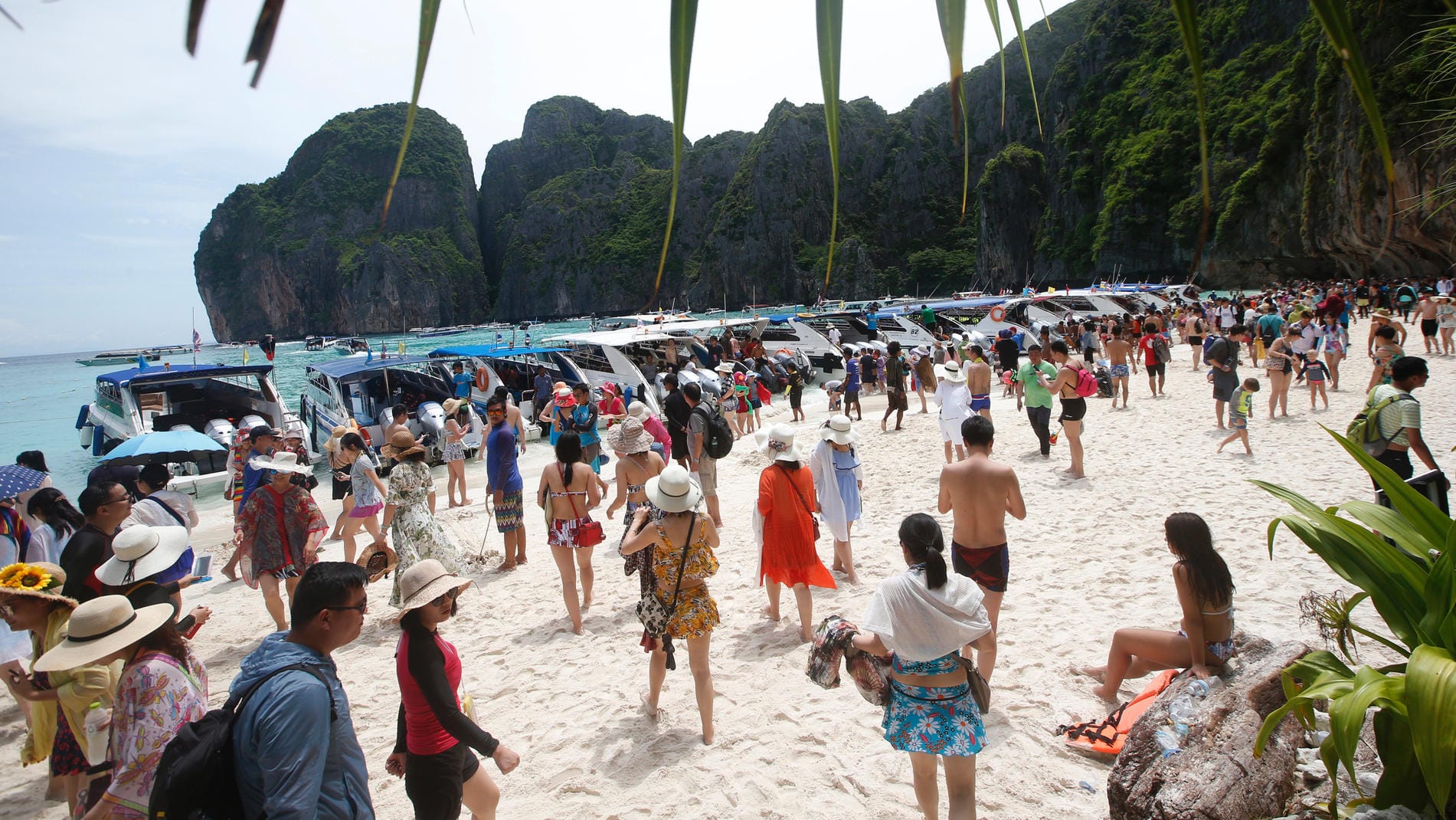 Zu viele Touristen: Das Korallenriff soll sich durch die Schließung erholen.