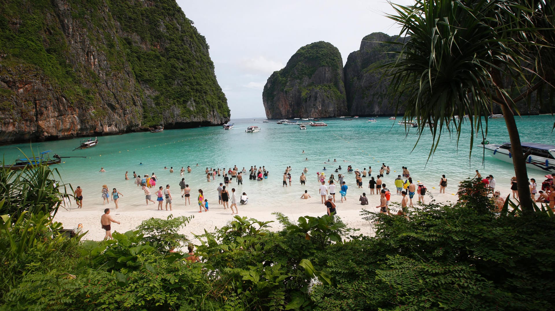 Strand als Filmkulisse: Viele Touristen kennen den Strand aus dem Hollywood-Film "The Beach".