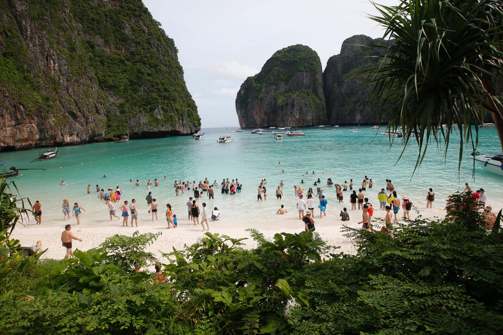 Strand als Filmkulisse: Viele Touristen kennen den Strand aus dem Hollywood-Film "The Beach".