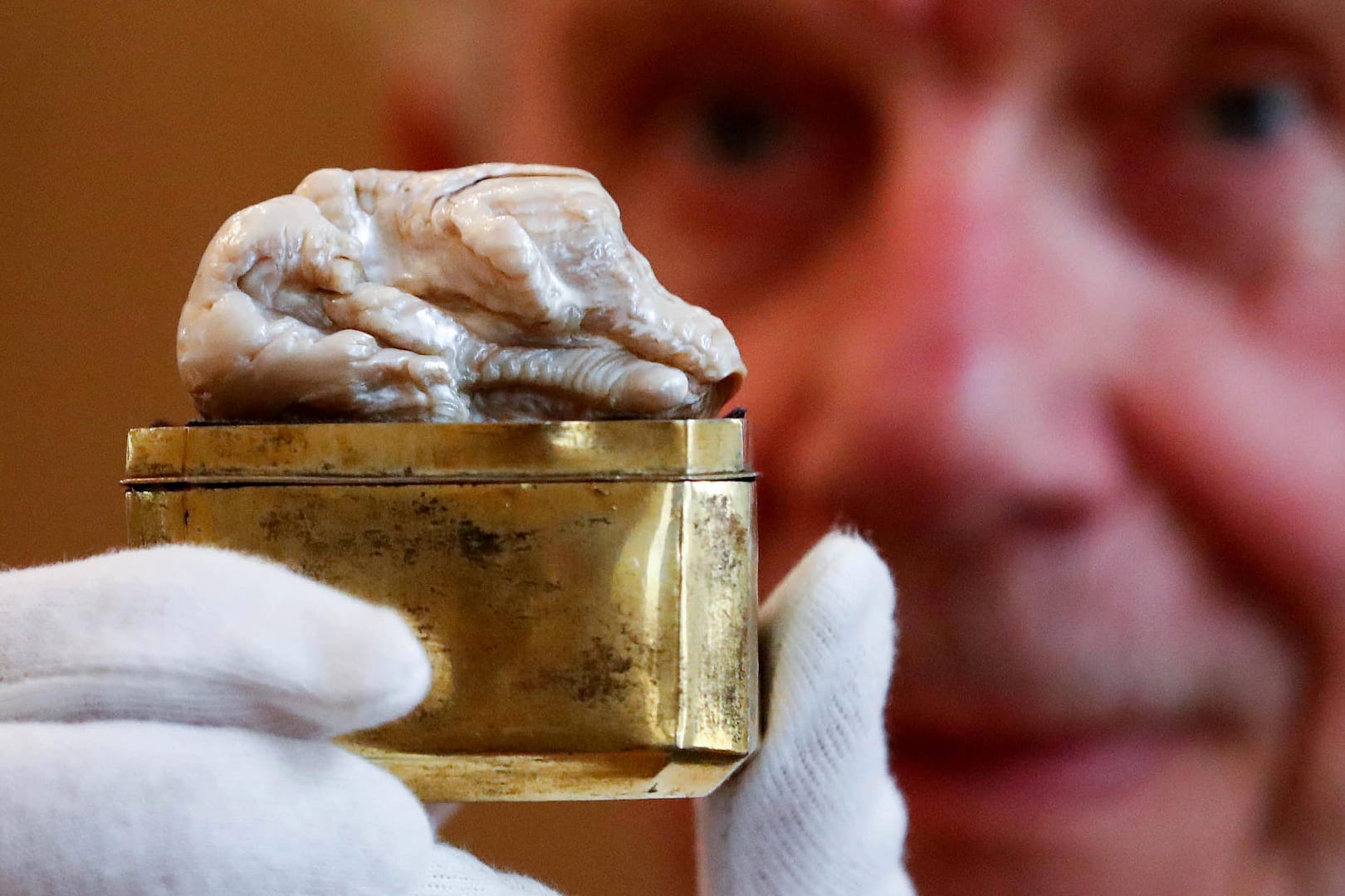 The Sleeping Lion Pearl, believed to be the world's largest freshwater pearl, is displayed before being auctioned in the Hague