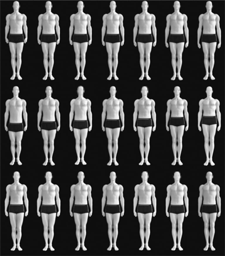 PC-Grafiken von Männerkörpern: Welche Proportionen sind anziehend?