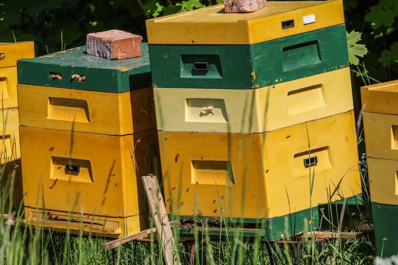 Archivbild eines Bienenstocks: In Bayern hat ein Dieb einen Bienenstock umgeworfen – mit katastrophalen Folgen für die Tiere.