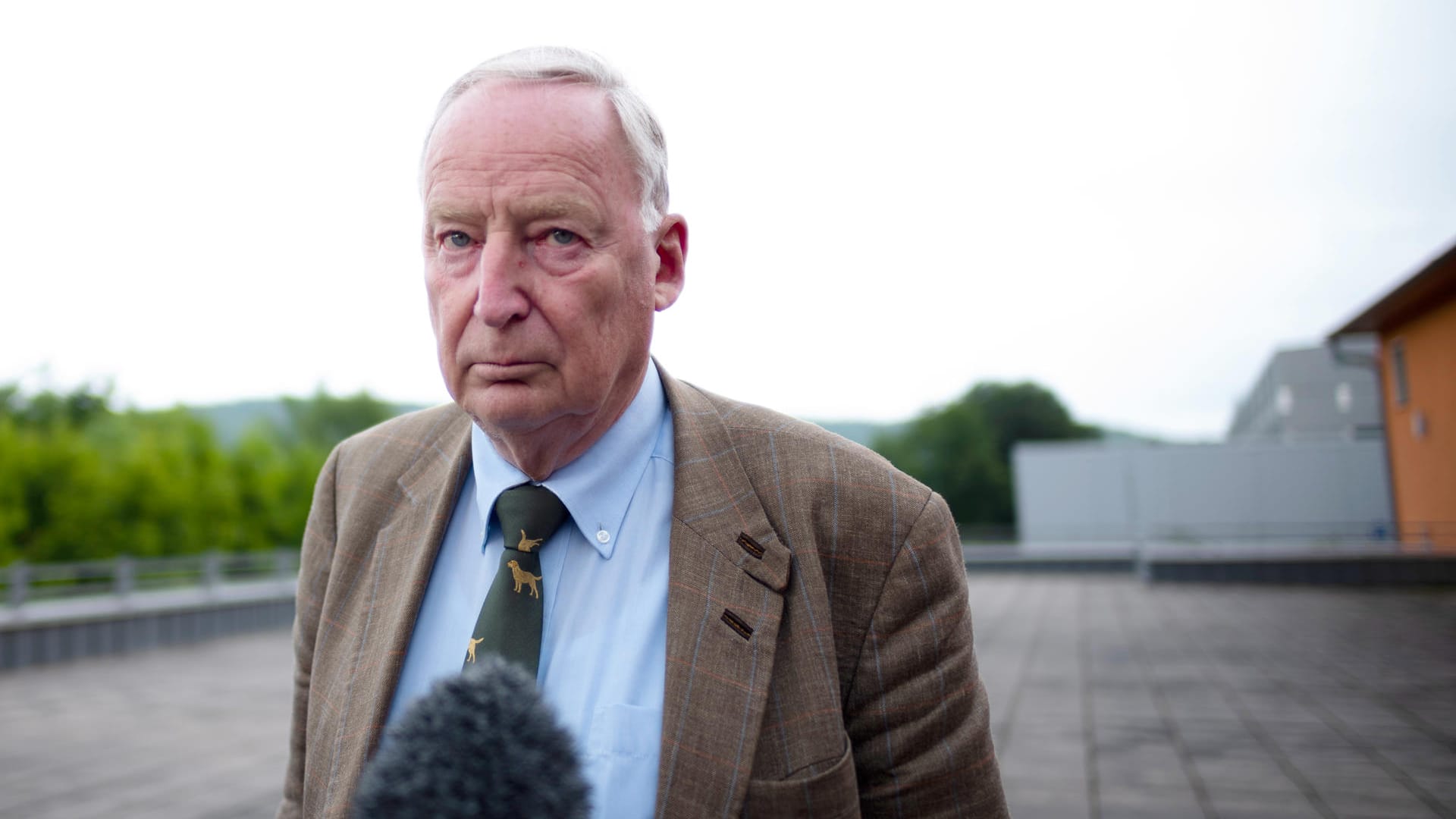 AfD-Vorsitzender Alexander Gauland