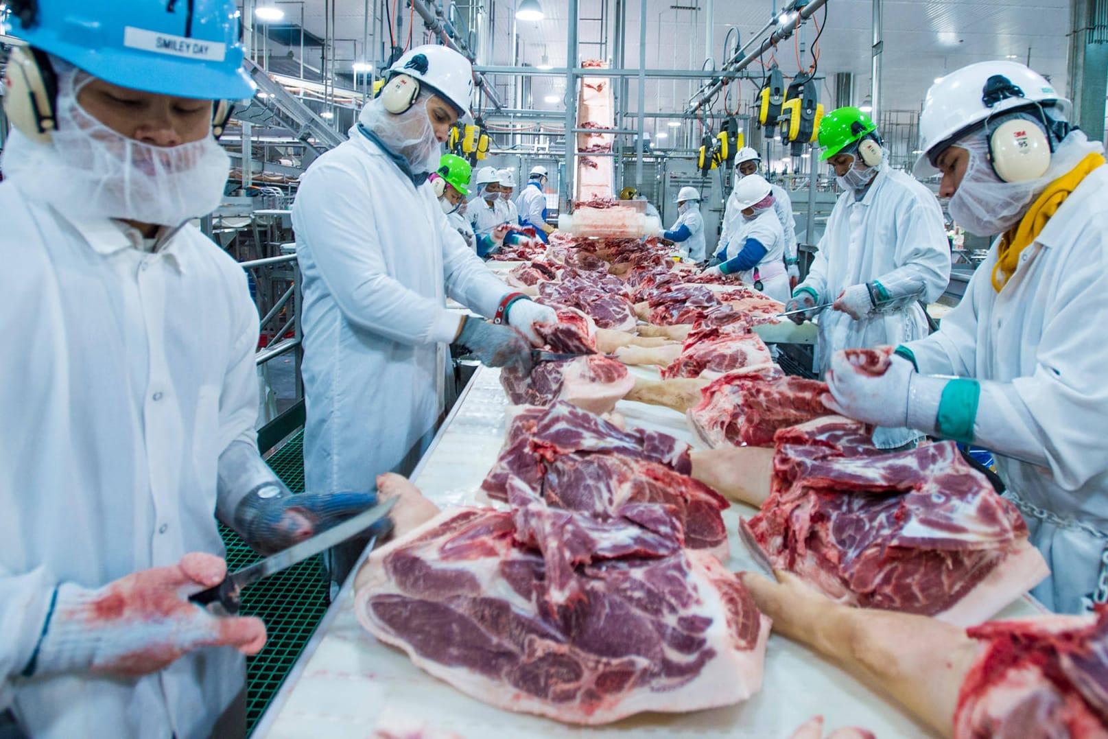 Arbeiter zerlegen Schweine in einer Fabrik in den USA: Mexiko könnte nach Verhängung der Strafzölle nun auf Schweinefleisch aus Kanada und der EU setzen.