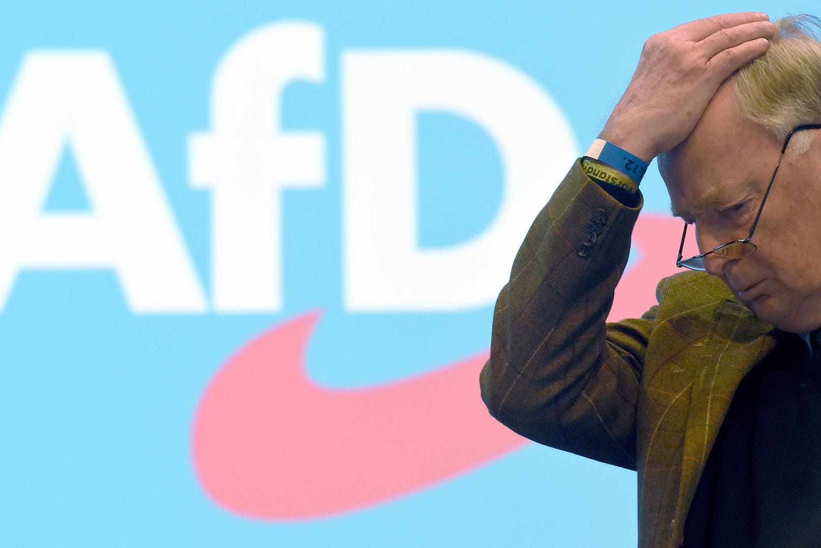 AfD-Bundessprecher Alexander Gauland (Archiv)