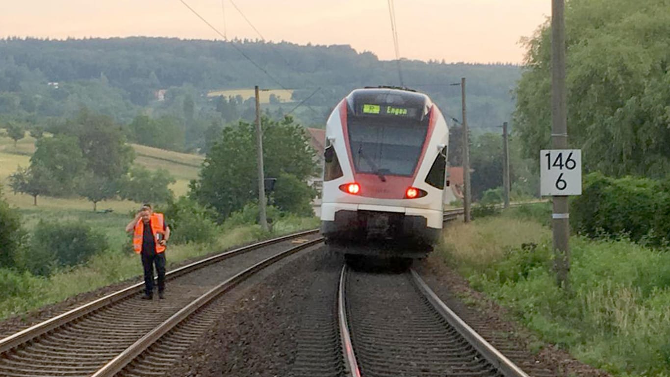 Eine Regionalbahn steht auf einem Gleis auf der Strecke zwischen Singen und Engen: Die Bahn war in eine Schafherde gefahren, dabei starben 45 Tiere.