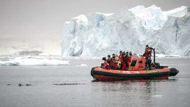 Greenpeace forscht in der Antarktis: Hier wurden etliche Schadstoffe im Wasser gefunden.