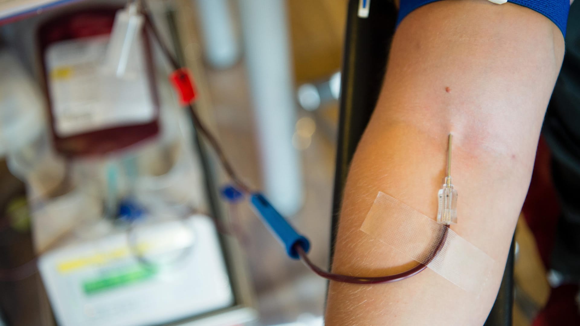 Ein Mann spendet Blut: Frauen dürfen vier Mal im Jahr Blut spenden, Männer sechs Mal. Ein Mann spendet Blut: Frauen dürfen vier Mal im Jahr Blut spenden, Männer sechs Mal.
