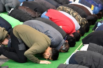 Muslime beten in Potsdam: Kolumnistin Lamya Kaddor kennt das Problem, in das sich Muslime durch ihr Unterlegenheitsgefühl begeben.