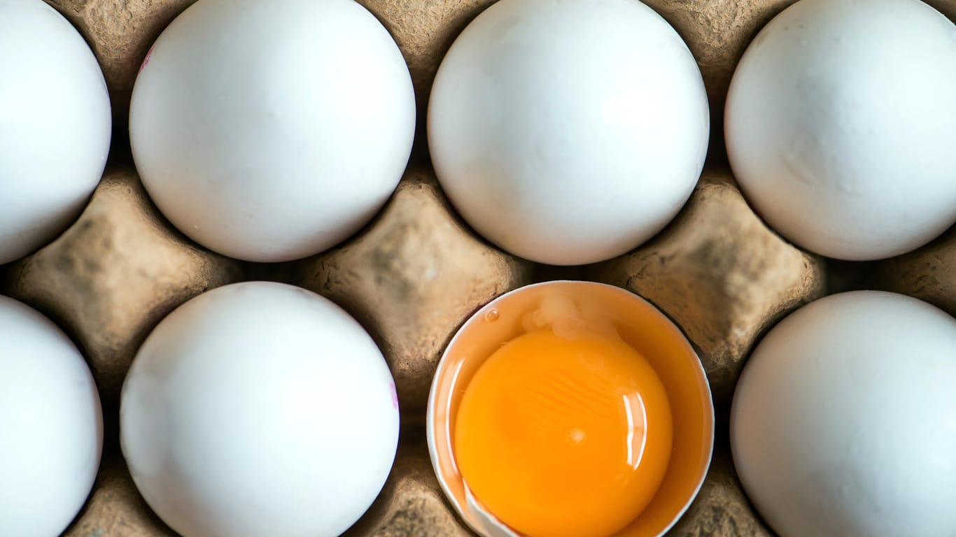 Ein aufgeschlagenes Ei liegt zwischen anderen weißen Eiern in einem Karton