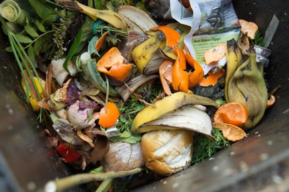 Essensreste und Bioabfälle faulen in der Sommerhitze schneller, daher müffelt es stärker aus den Mülltonnen.