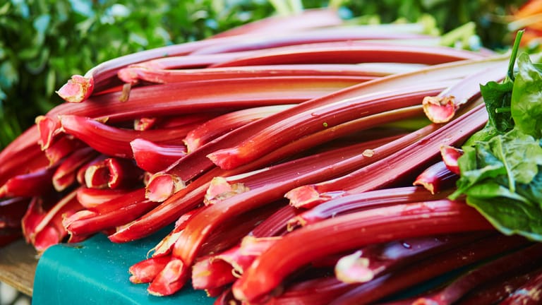 Rhabarber: Die roten Stangen werden oft für Süßspeisen verwendet, obwohl Rhabarber botanisch gesehen ein Gemüse ist.