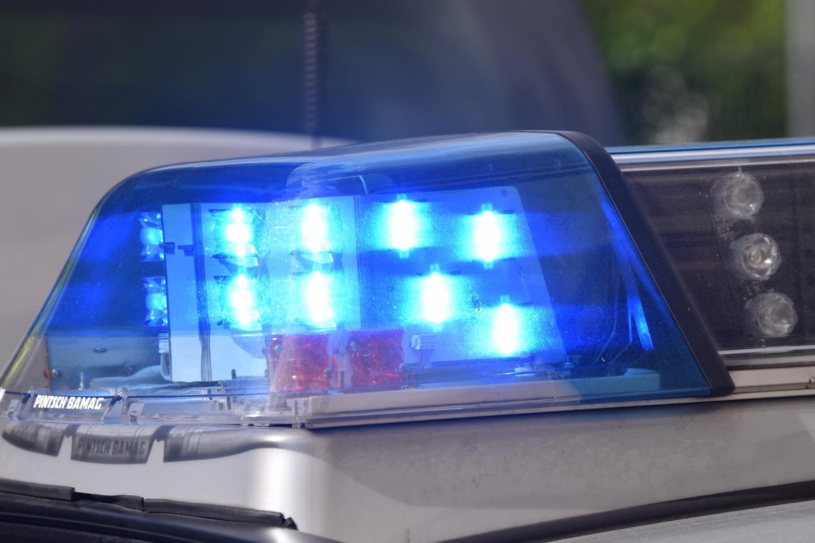 Ein Blaulicht an einem Fahrzeug der Polizei: Der Wert des geschlachteten Tieres liegt bei 900 Euro. (Symbolbild)