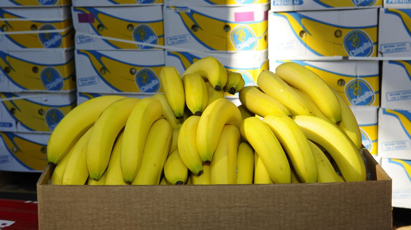 Eine Kiste Bananen vor weiteren Bananenkisten: 100 Kilogramm Kokain in sächsischem Fruchthof sichergestellt.