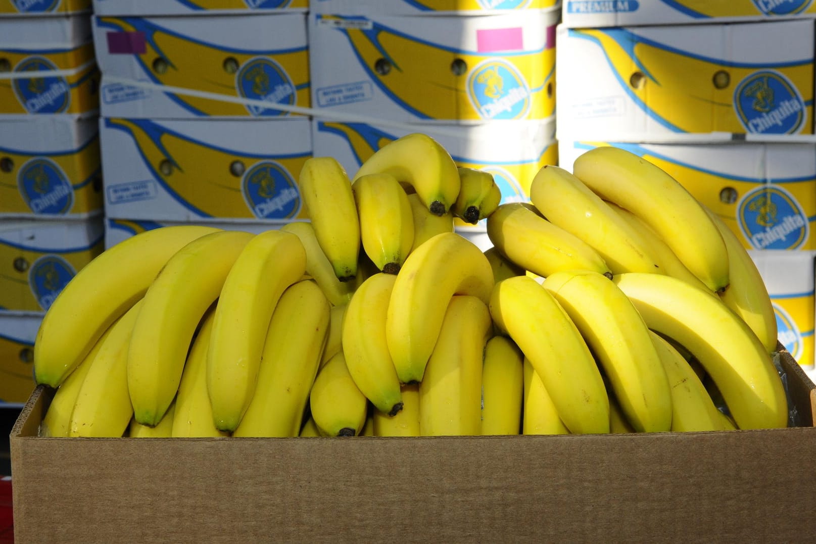Eine Kiste Bananen vor weiteren Bananenkisten: 100 Kilogramm Kokain in sächsischem Fruchthof sichergestellt.