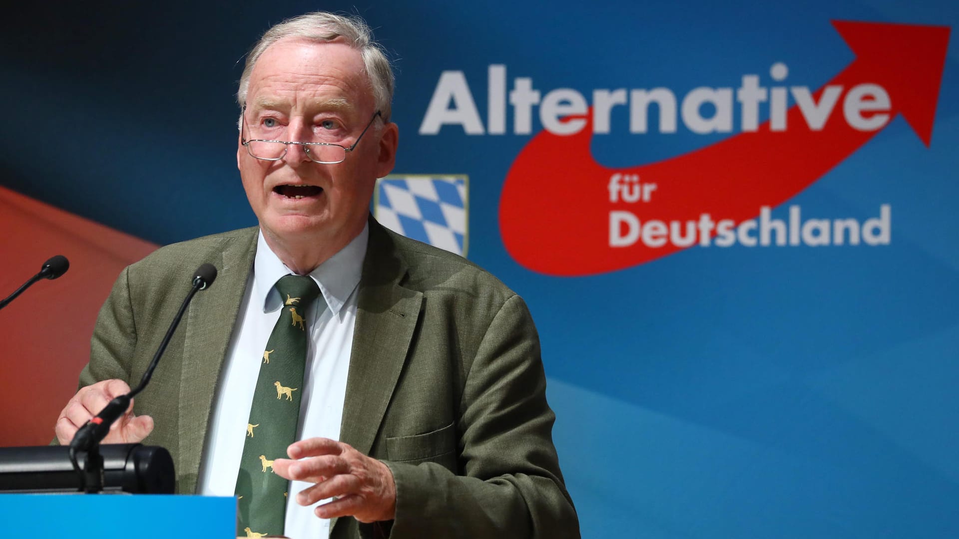 AfD-Vorsitzender Alexander Gauland