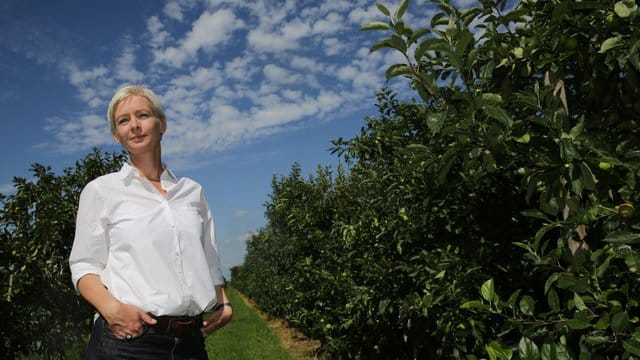 Der neue Roman der Schriftstellerin Dörte Hansen spielt wieder auf dem Dorf, dieses Mal in Nordfriesland.