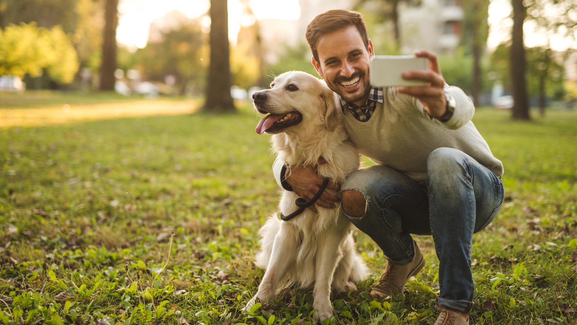 Foto mit Hund: Am besten fotografieren Sie Ihr Tier in freier Natur.