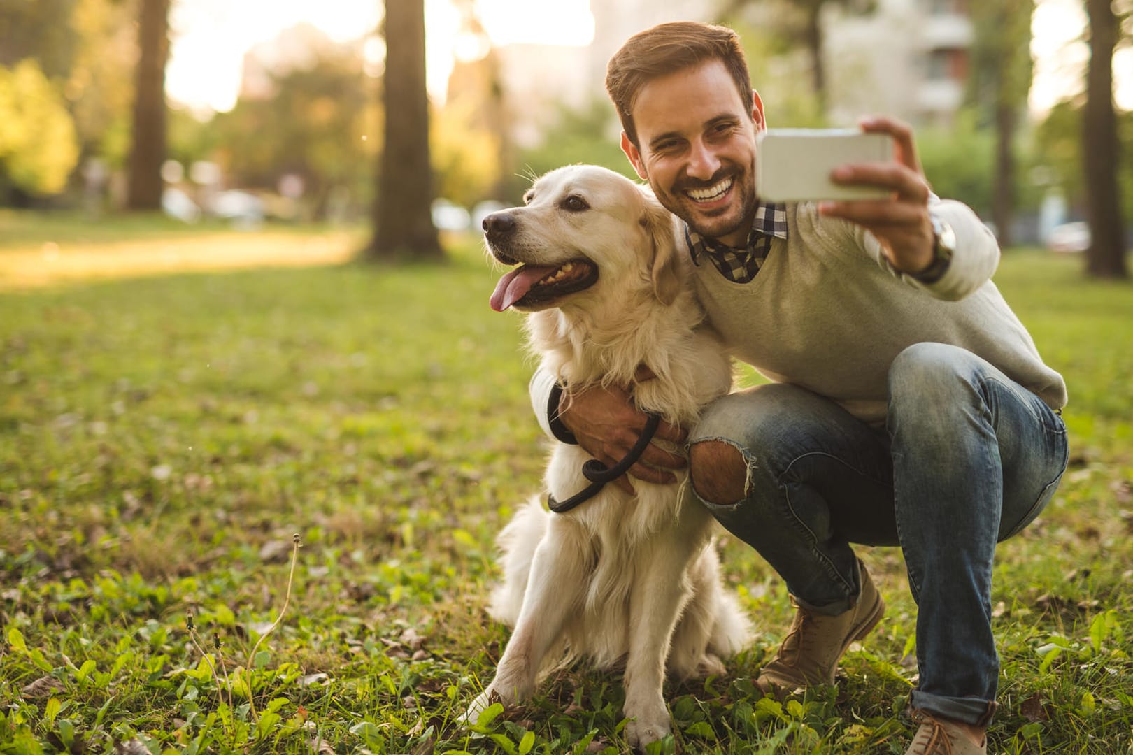 Foto mit Hund: Am besten fotografieren Sie Ihr Tier in freier Natur.