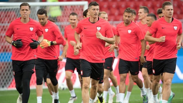 Ist mit Polen gegen Sengal gefordert: Bayern-Profi Robert Lewandowski (M). Ist mit Polen gegen Sengal gefordert: Bayern-Profi Robert Lewandowski (M).