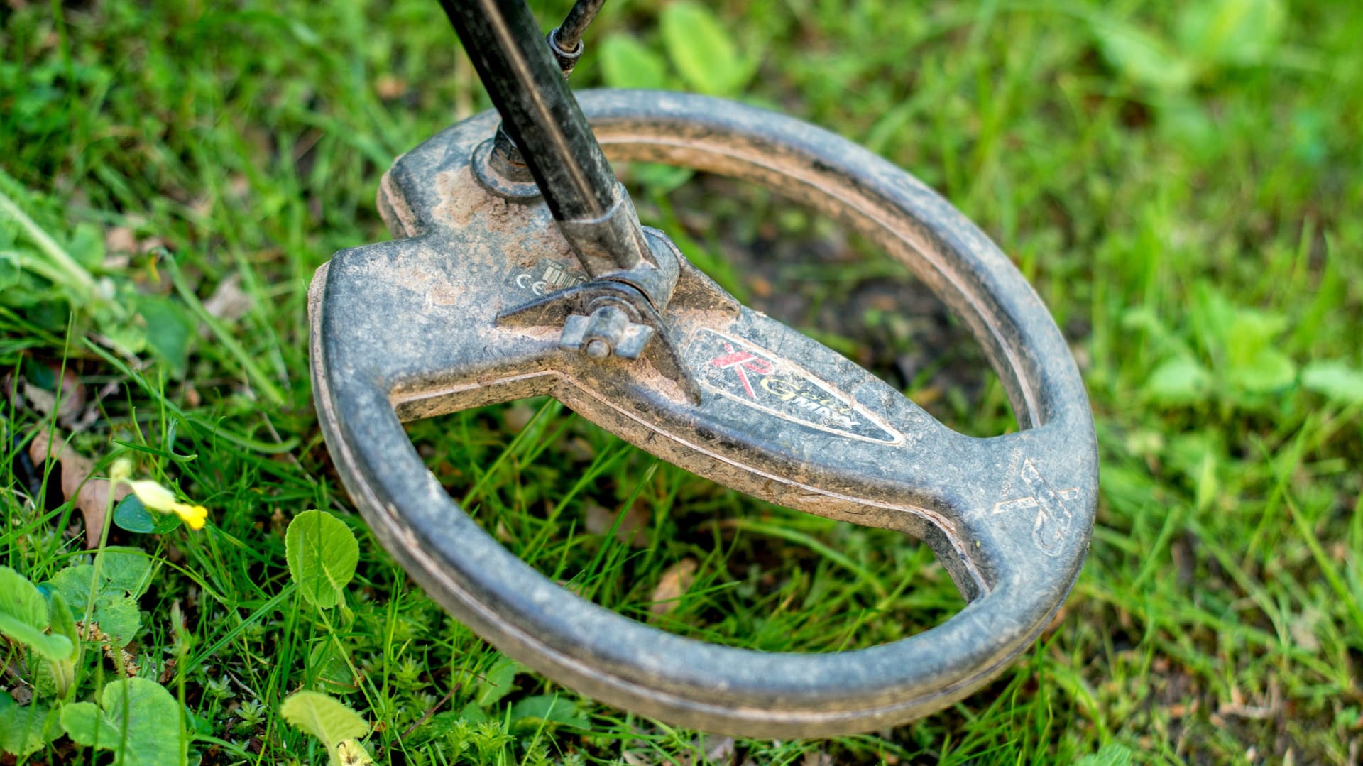 Ein Metalldetektor wird über eine Fundstelle gehalten: Gezielt dürfen sogenannte Sondengänger nicht nach archäologischen Schätzen suchen. (Symbolbild) Ein Metalldetektor wird über eine Fundstelle gehalten: Gezielt dürfen sogenannte Sondengänger nicht nach archäologischen Schätzen suchen. (Symbolbild)