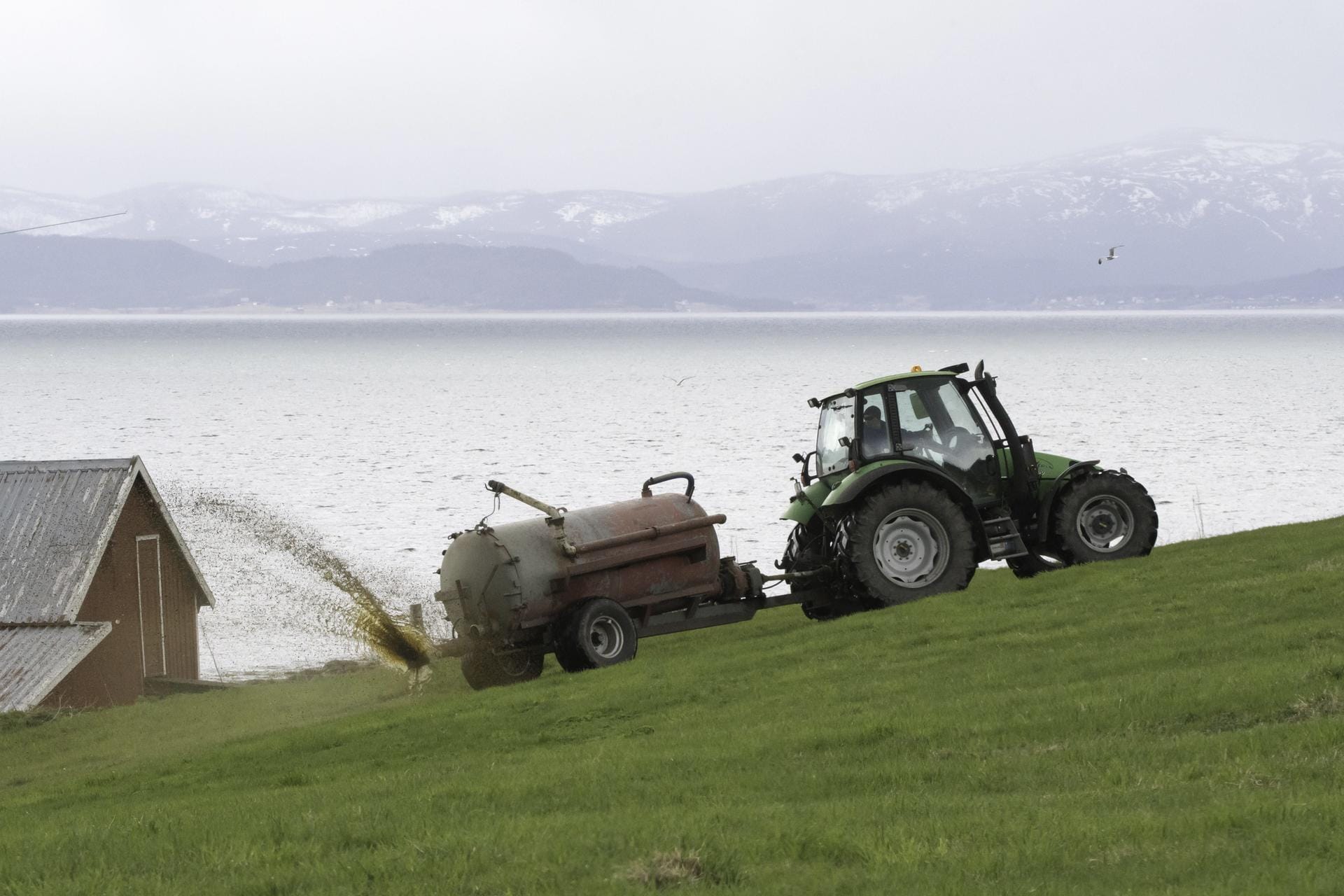 Ein Bauer bringt Gülle auf eine Weide: In Deutschland wird in der Landwirtschaft zu viel Nitrat eingesetzt.