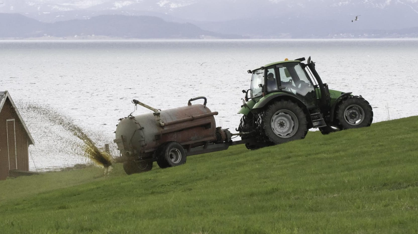 Ein Bauer bringt Gülle auf eine Weide: In Deutschland wird in der Landwirtschaft zu viel Nitrat eingesetzt.