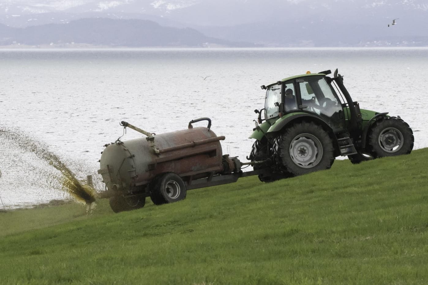 Ein Bauer bringt Gülle auf eine Weide: In Deutschland wird in der Landwirtschaft zu viel Nitrat eingesetzt.