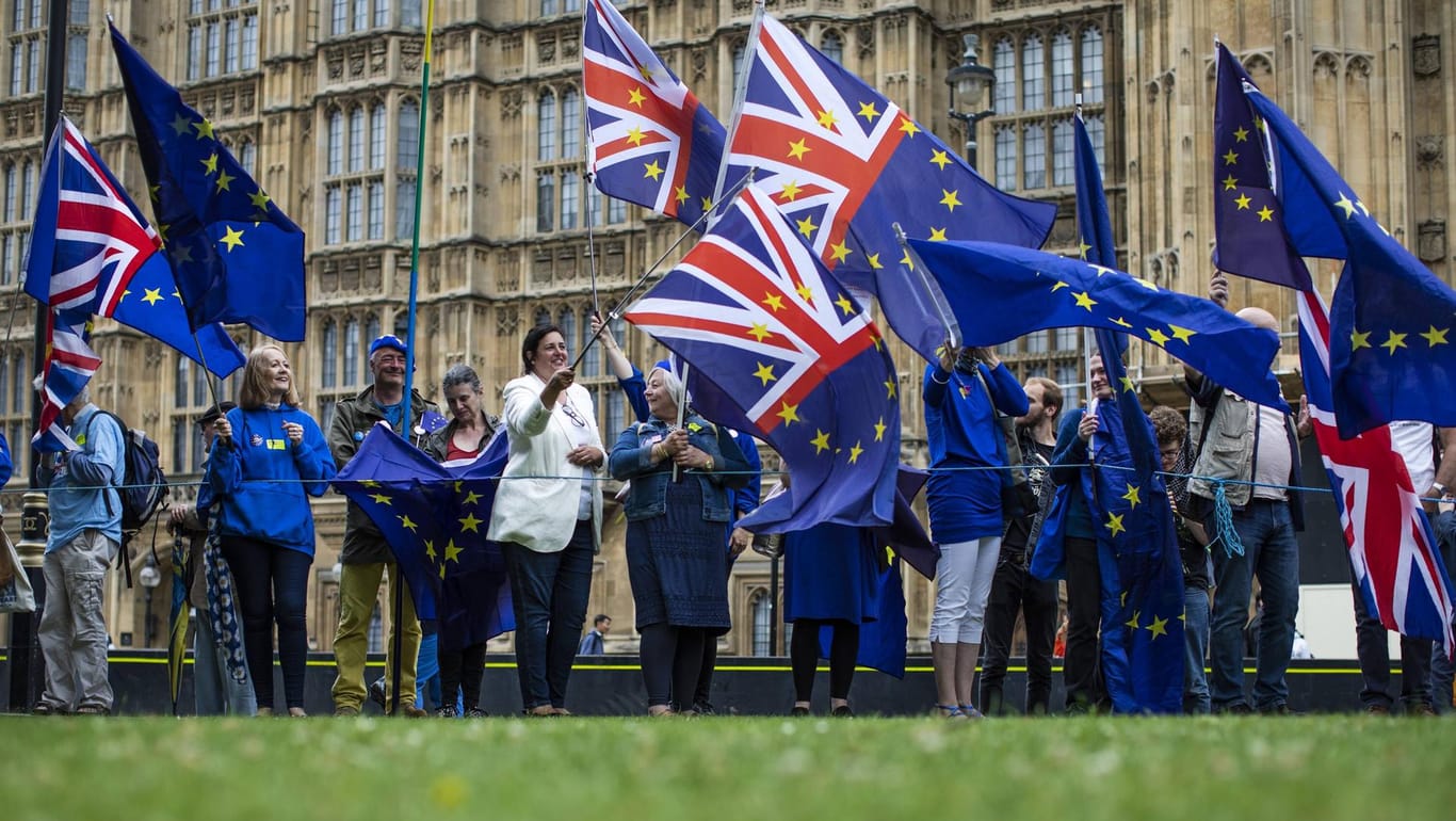 Pro-europäische Demonstranten vor dem britischen Parlament: Der Antrag auf Niedererlassungserlaubnis soll für alle EU-Bürger im Land verpflichtend sein.
