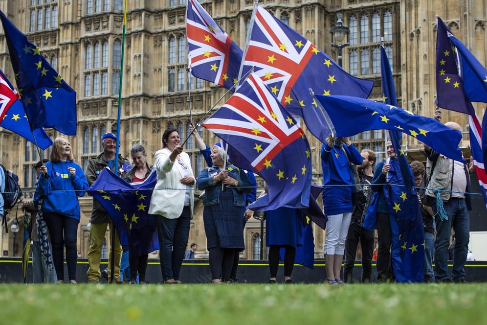 Pro-europäische Demonstranten vor dem britischen Parlament: Der Antrag auf Niedererlassungserlaubnis soll für alle EU-Bürger im Land verpflichtend sein.