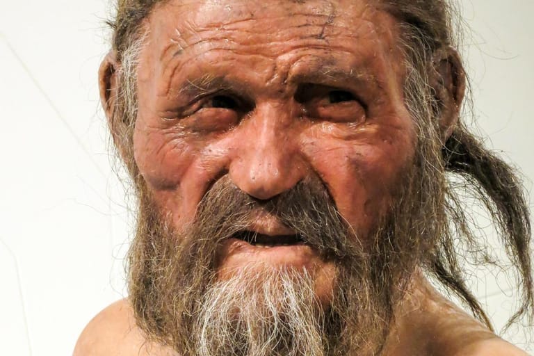 Nachbildung von Ötzi: Mithilfe der Radiokohlenstoffdatierung wurde der Todeszeitpunkt des Mannes zwischen 3359 und 3105 v. Chr. bestimmt.