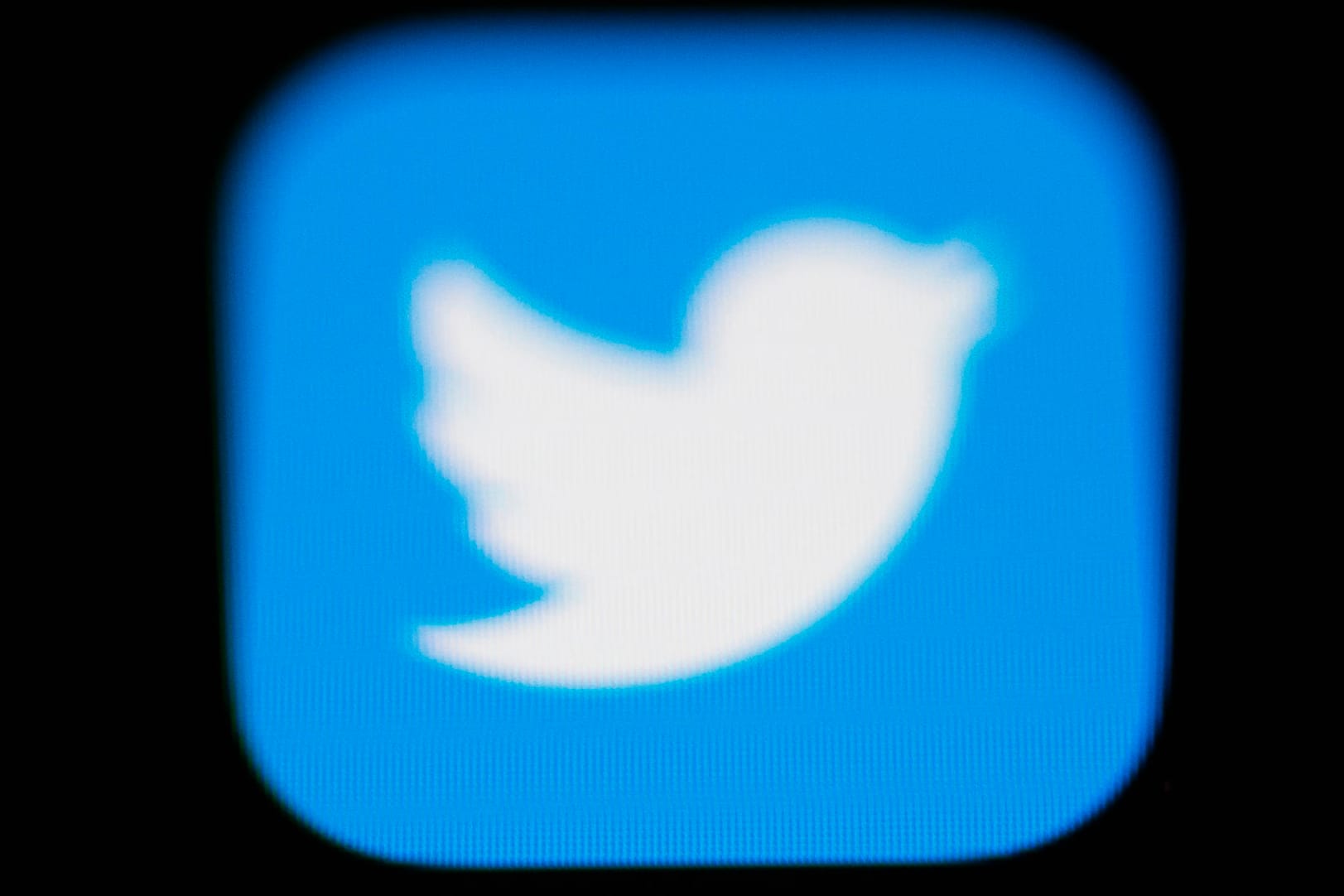 Die Twitter-App: Durch höhere Hürden bei der Erstellung eines Profils will Twitter Spambots von der Plattform vertreiben.