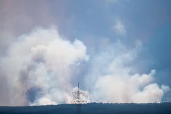 Rauchsäule über einem Wald des Truppenübungsplatzes Altmark: Soldaten hatten mit Pyrotechnik ein Feuer entfacht.