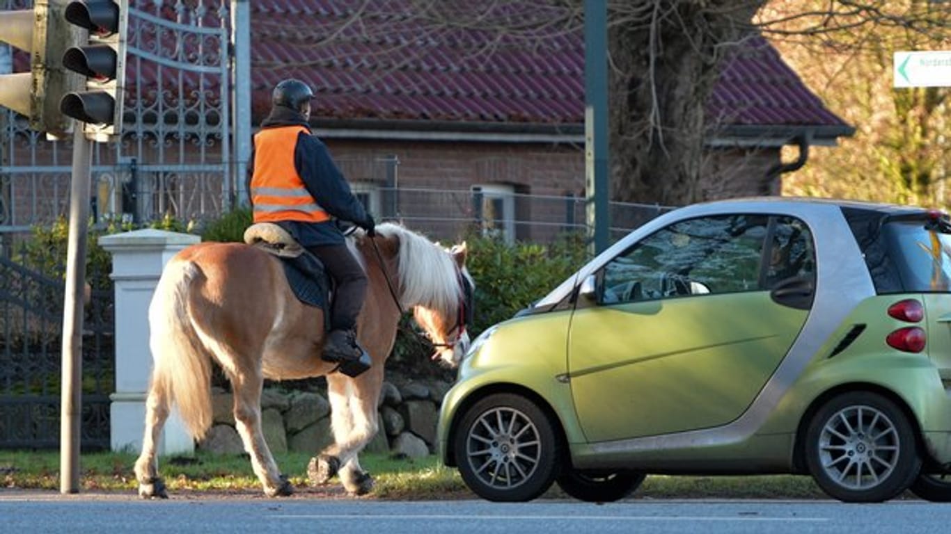 Begegnen sich ein Pferd und ein Kraftfahrzeug auf der Straße, müssen sowohl der Fahrer als auch der Reiter auf einen ausreichenden Mindestabstand von 1,50 bis 2 Metern achten.