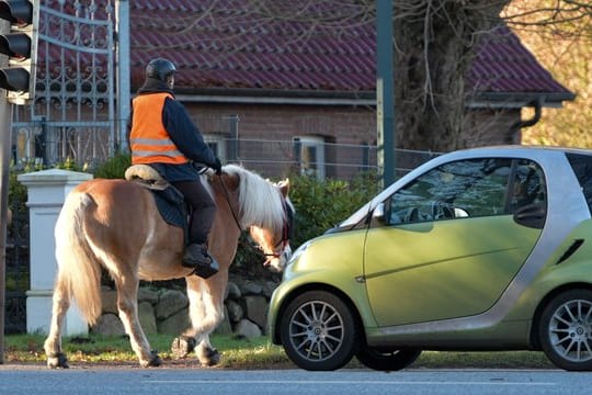 Begegnen sich ein Pferd und ein Kraftfahrzeug auf der Straße, müssen sowohl der Fahrer als auch der Reiter auf einen ausreichenden Mindestabstand von 1,50 bis 2 Metern achten.