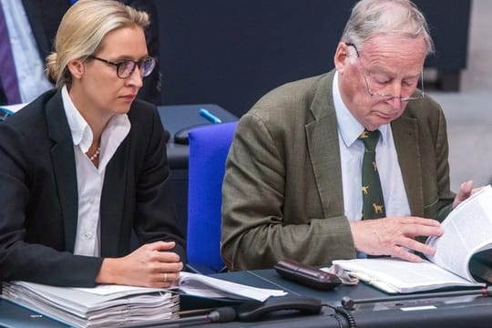 Die Fraktionsvorsitzenden der AfD, Alice Weidel und Alexander Gauland im Plenarsaal des Bundestages.