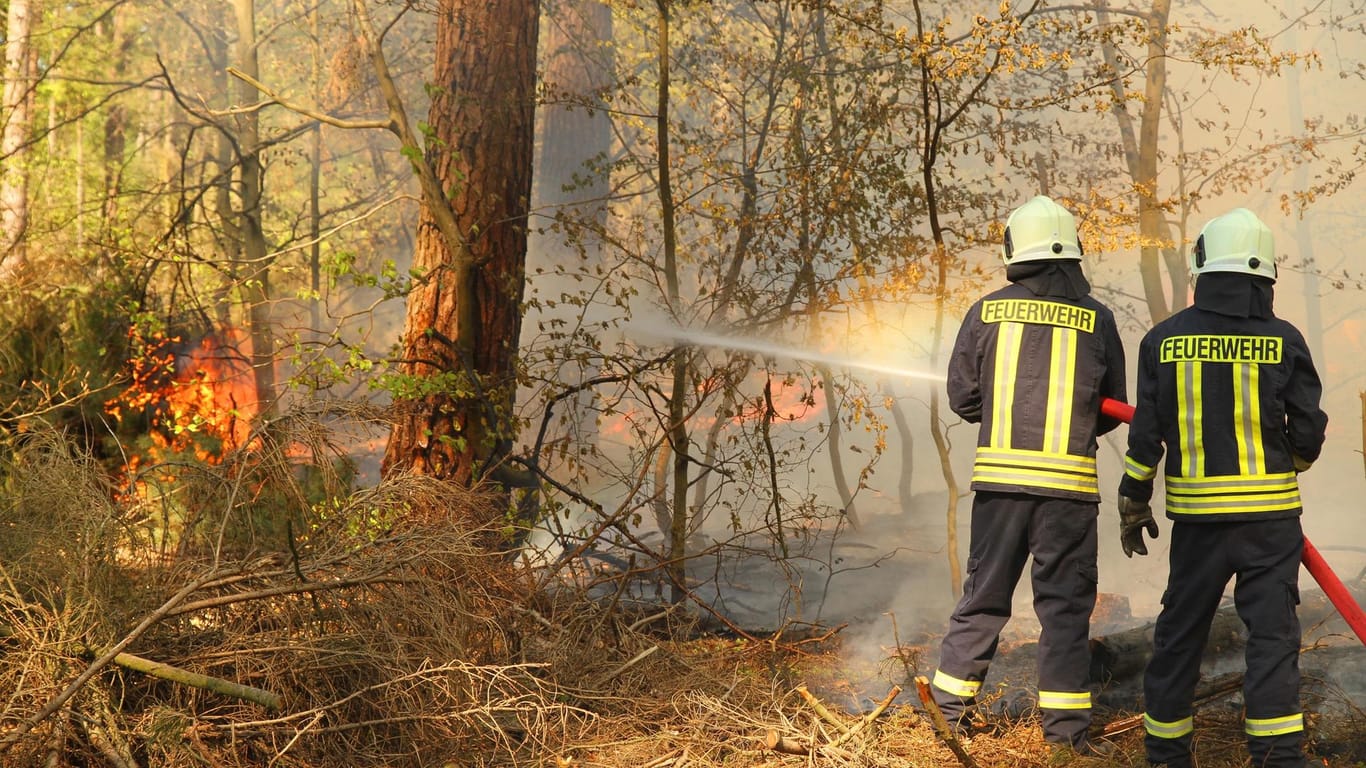 Feuerwehrmänner löschen einen Waldbrand: Die anhaltende Trockenheit der Wälder ist gefährlich. (Archivbild)