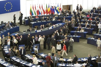 Europäisches Parlament in Straßburg: Die Fraktion der Rechtspopulisten muss Hunderttausende Euro zurückerstatten.